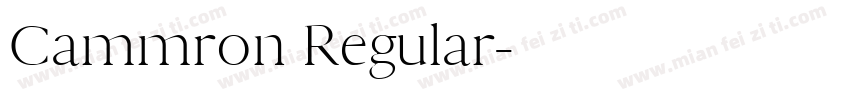 Cammron Regular字体转换